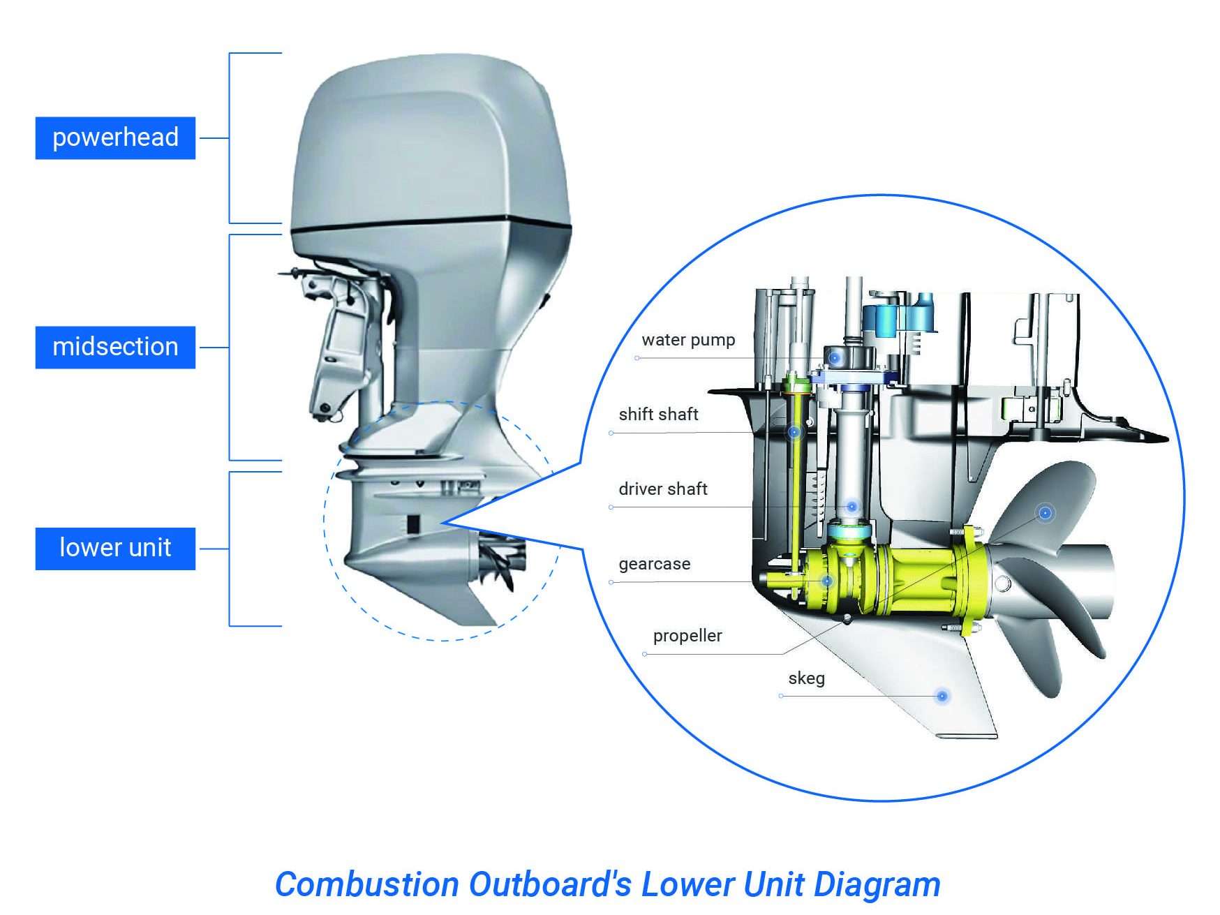Parts of Outboard Lower Unit Diagram
